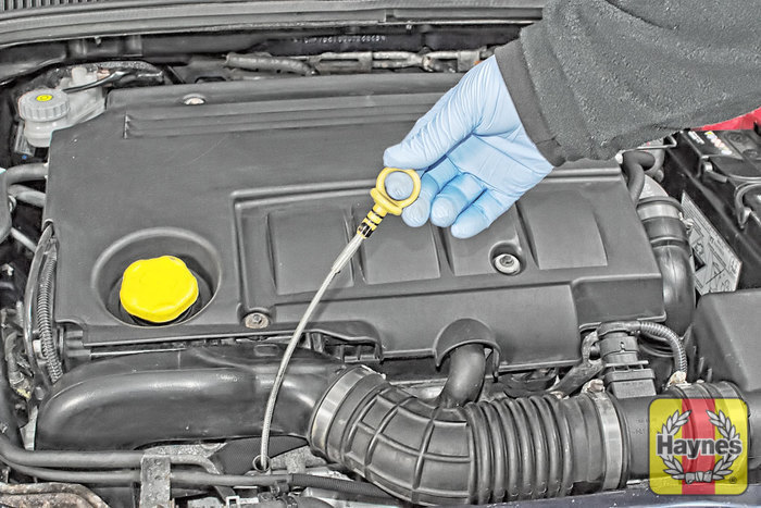 Suzuki Sx Checking Transmission Oil Suzuki Sx Checking Transmission Oil