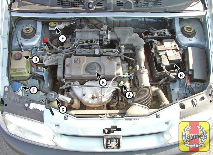 Citroen Berlingo Multispace (1996 2010) 1.4 Fluid level checks