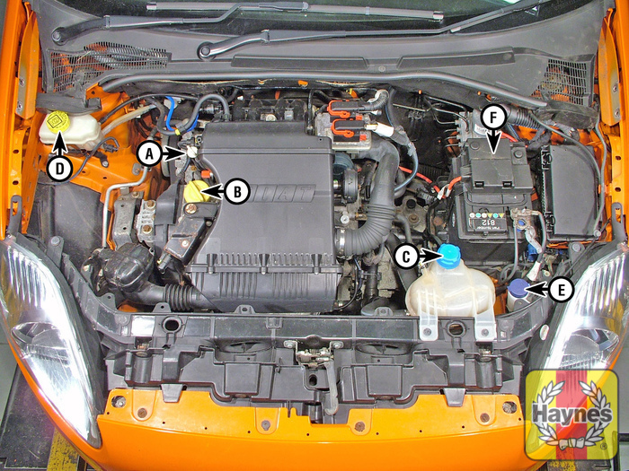 Fiat Punto Evo (2006 2015) 1.4 Fluid level checks Haynes Publishing