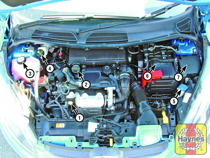 ford ka bonnet diagram ford 2008 2011 1 4 16v fluid level checks ford ka bonnet diagram ford 2008 2011 1 4 16v fluid level checks