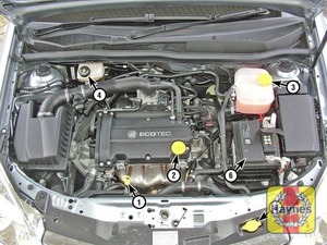 Opel Astra (2004 - 2008) 1.6 16v - Fluid level checks ... vauxhall corsa fuse box removal 
